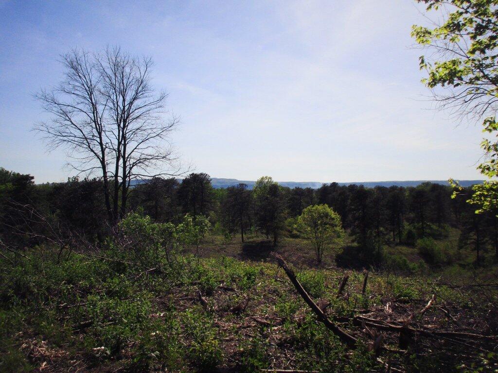Photo: View from Blueberry Hill