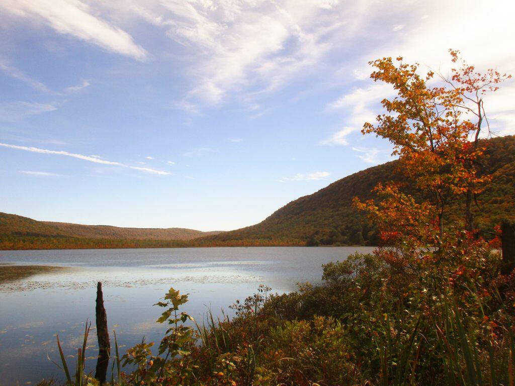 Photo: Autumn Afternoon Photo: Autumn Afternoon