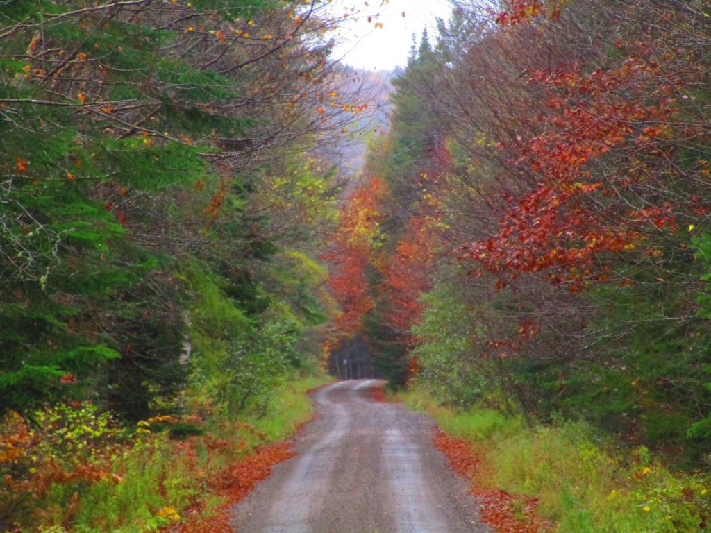 Photo: Horseshoe Road