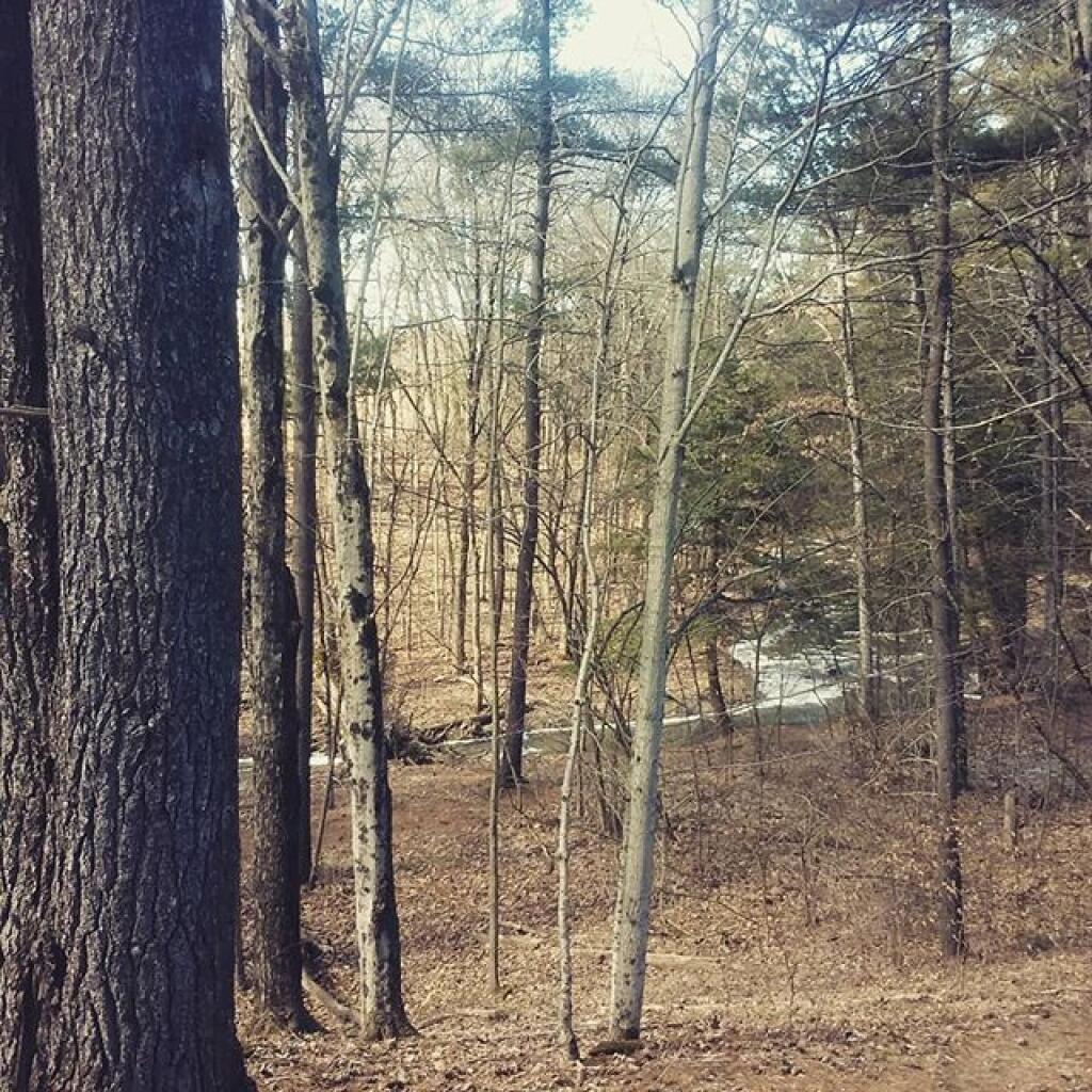 Photo: Spring can't be far