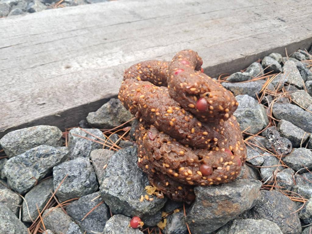 Photo: Bear crap on the railroad tracks