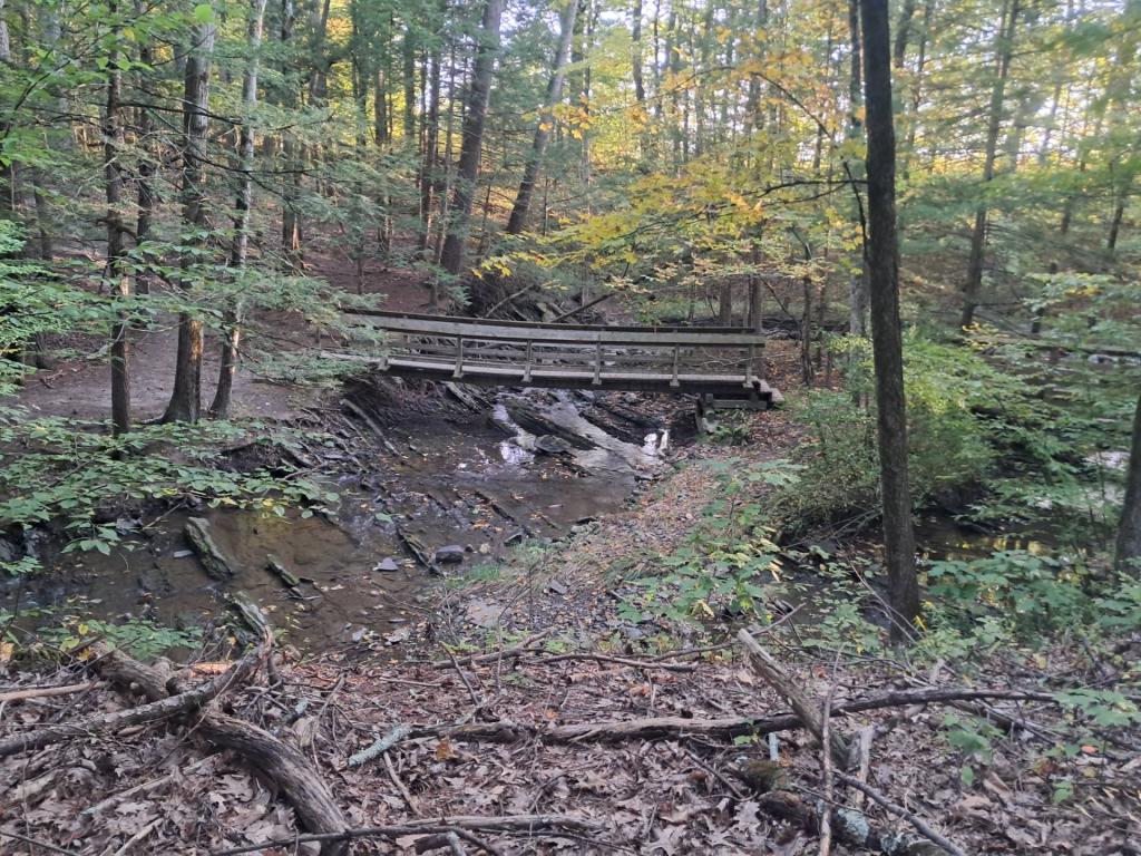 Photo: Sagging bridge [Expires October 11 2026]