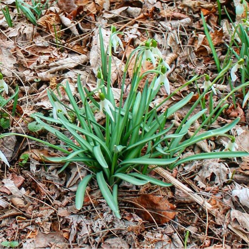Photo: More signs of spring
