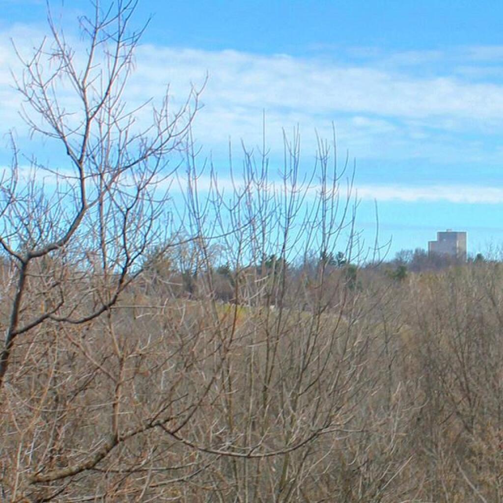 Photo: Corning Tower