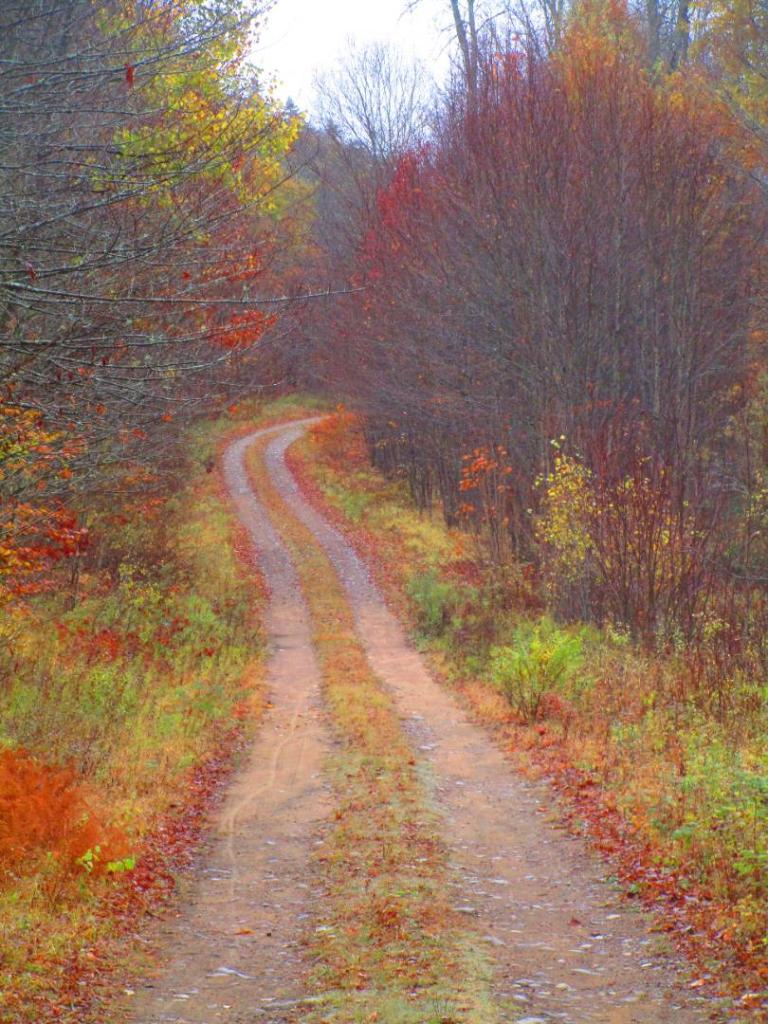 Photo: Town Line Road