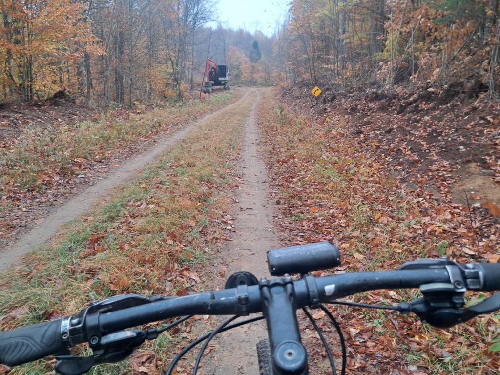 Photo: Massawepie Road through the Conifer-Emporium Timber Easement Photo: Massawepie Road through the Conifer-Emporium Timber Easement