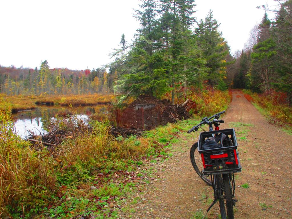 Photo: Riding Pine Pond Road