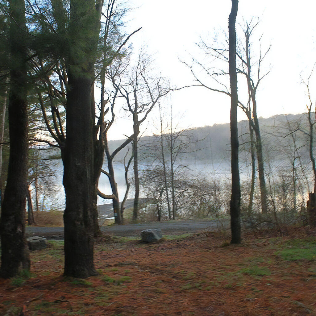 Photo: Stoney Pond Photo: Stoney Pond