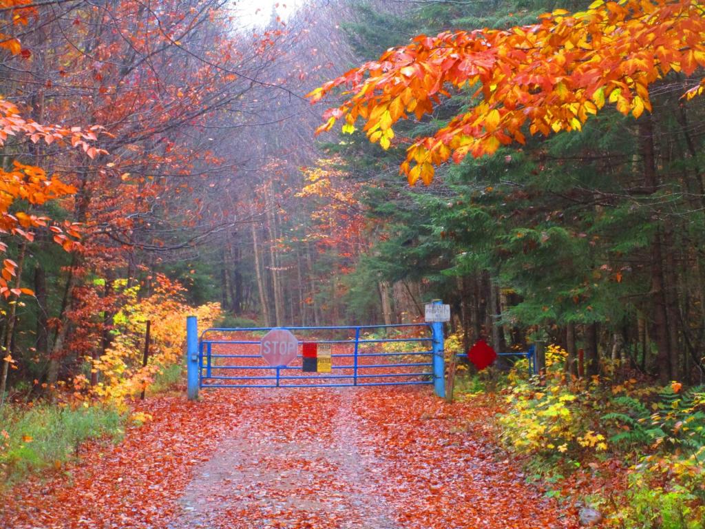 Photo: End of Pine Pond Road