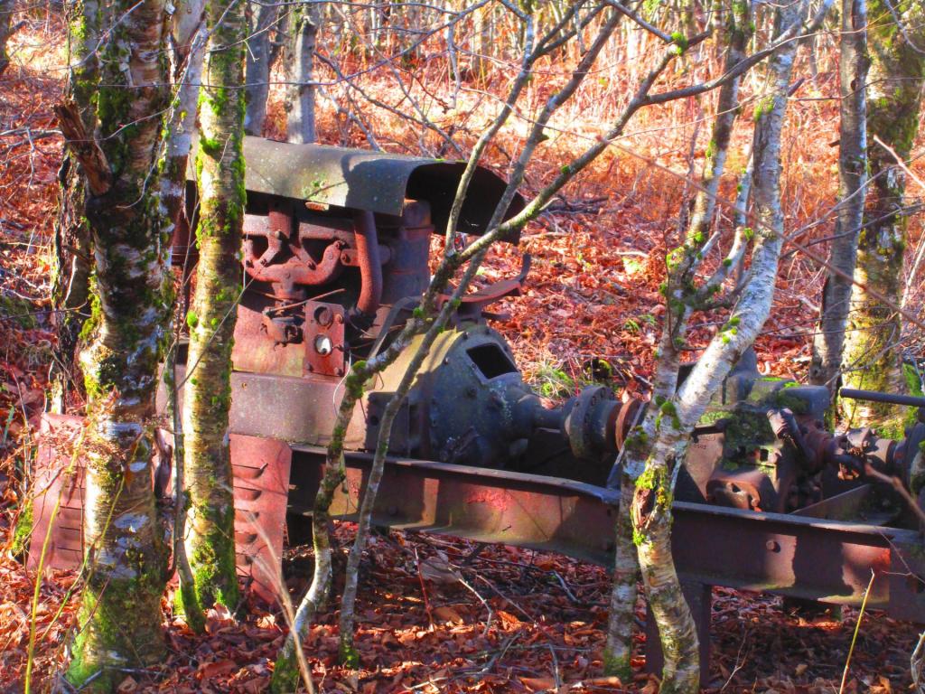 Photo: Old Truck