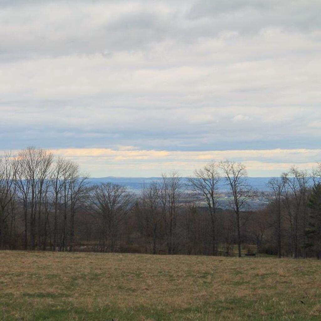 Photo: Ballard Pasture