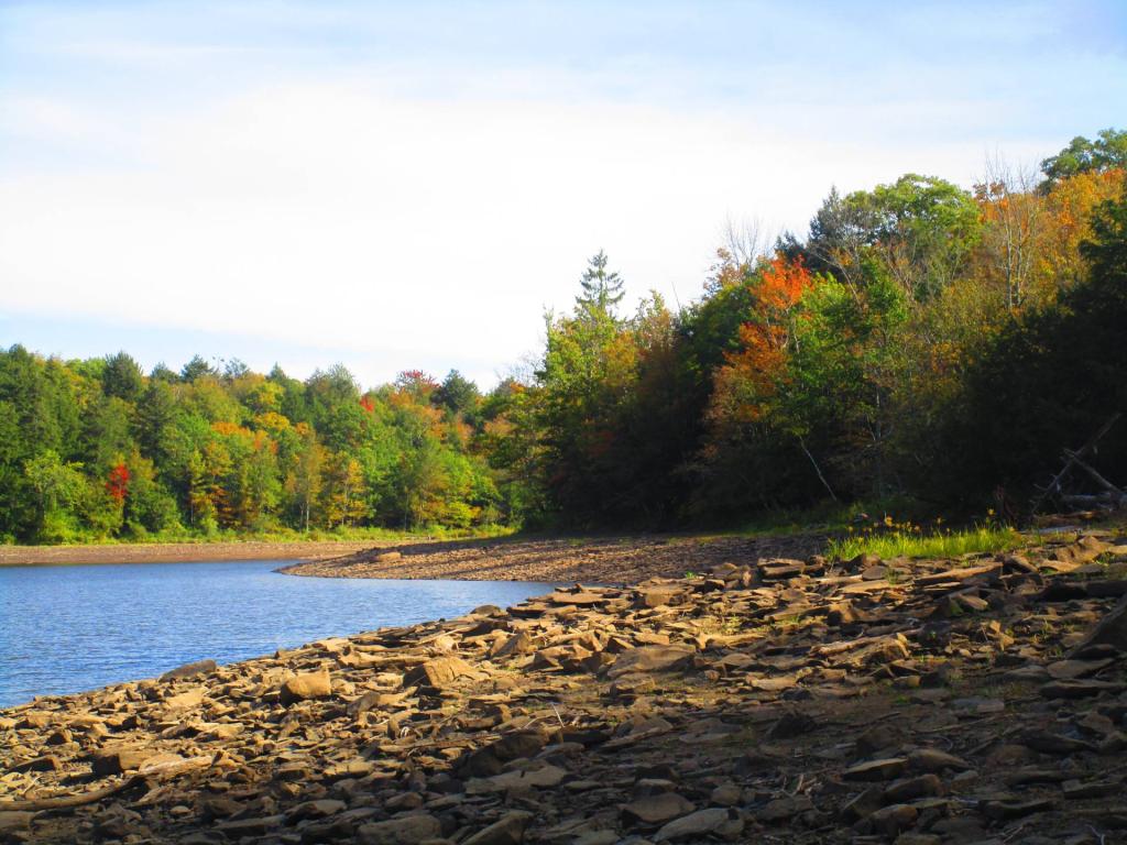Photo: Myosotis Lake is low!
