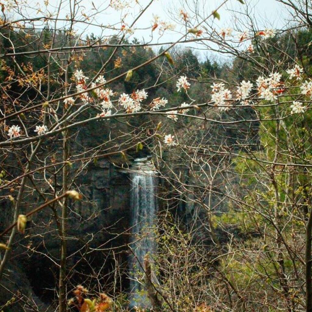 Photo: Spring will arrive Photo: Spring will arrive
