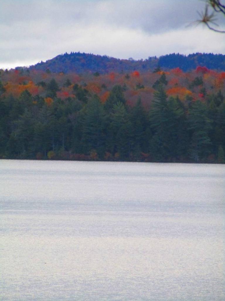 Photo: Horseshoe Lake