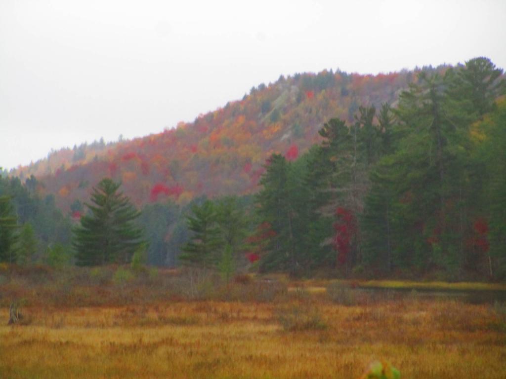 Photo: Drizzle at Lows Ledge