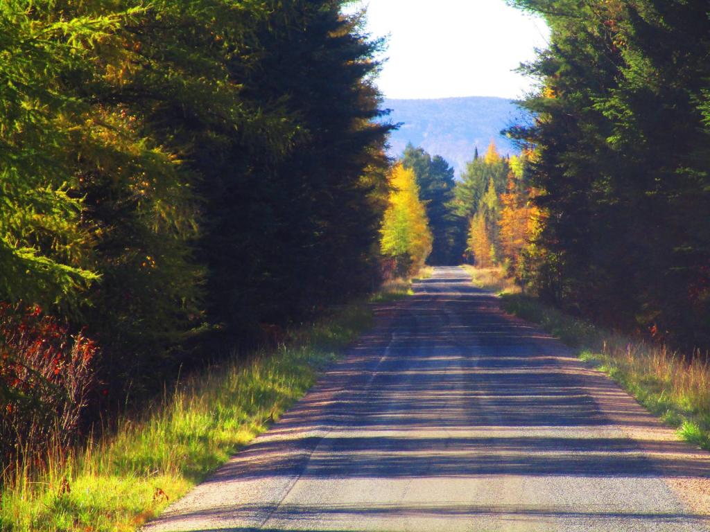Photo: A Few Miles North of Tupper Photo: A Few Miles North of Tupper