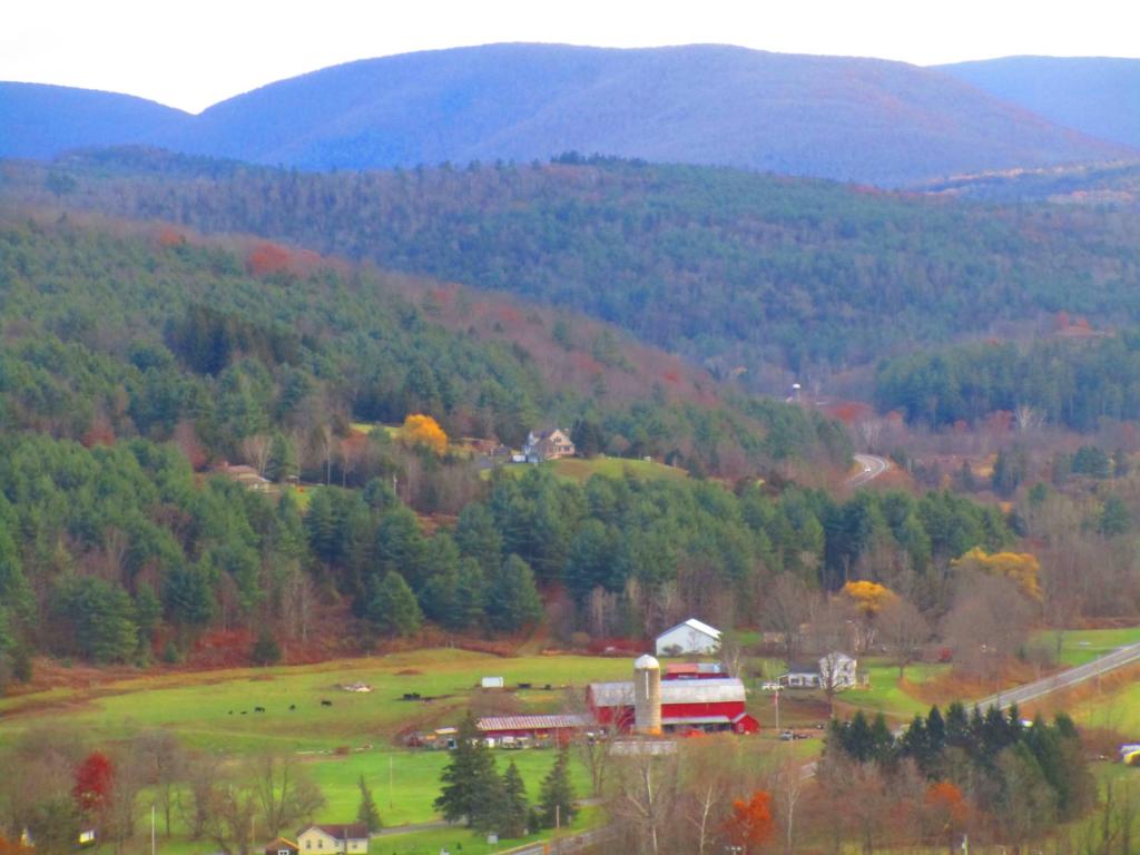 Photo: Farm Photo: Farm