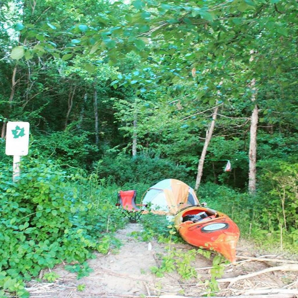 Photo: Campsite Photo: Campsite