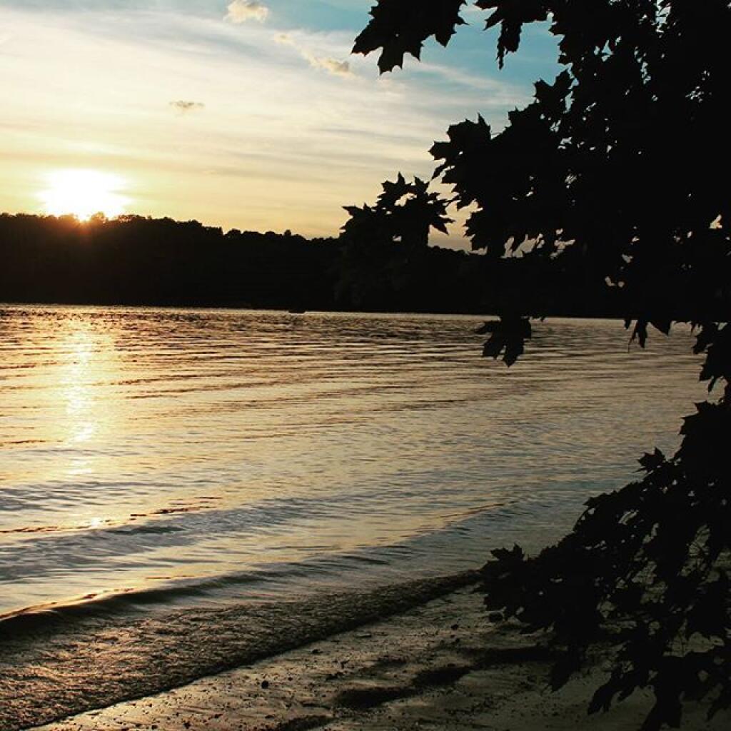 Photo: Evening Photo: Evening
