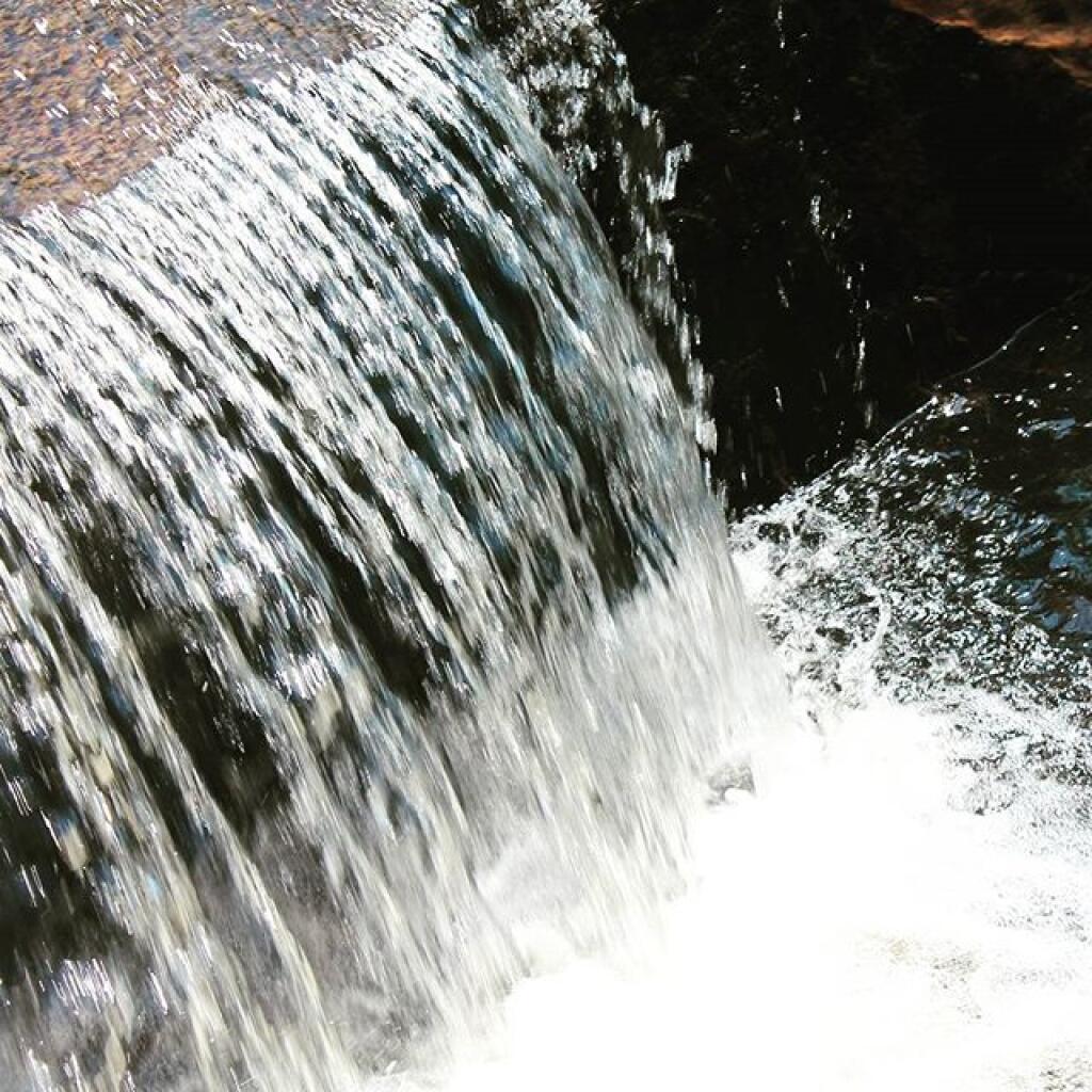 Photo: The place to be on a hot day