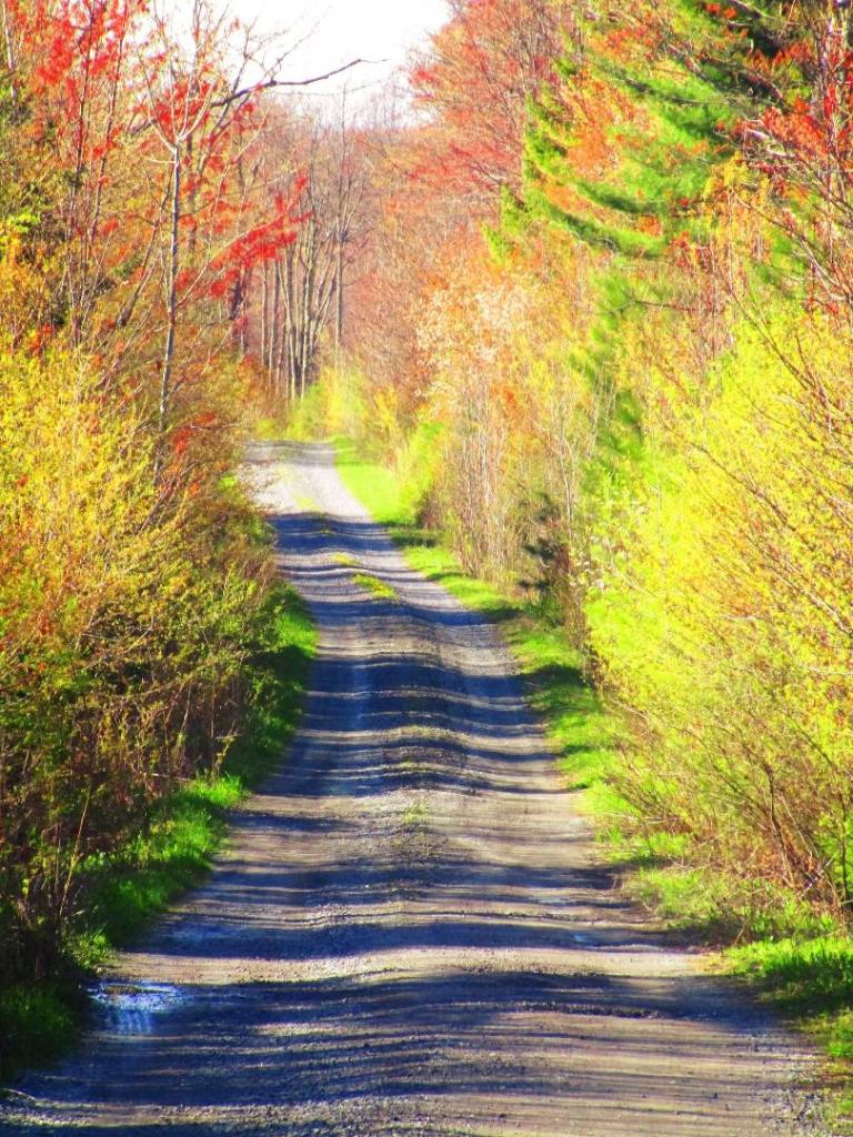 Photo: Burnt Hill Road