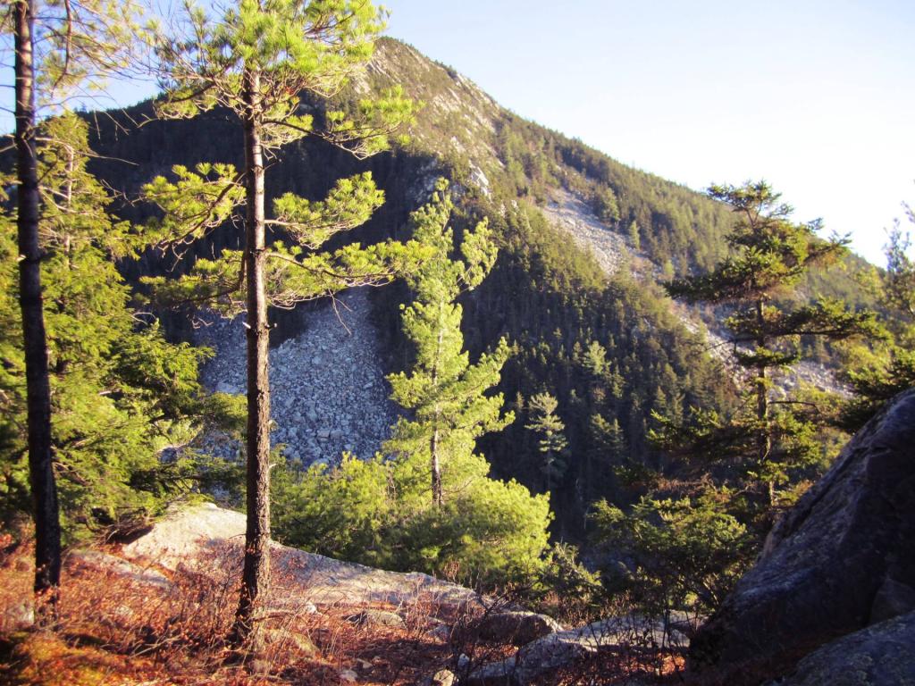 Photo: Boulder Field Photo: Boulder Field