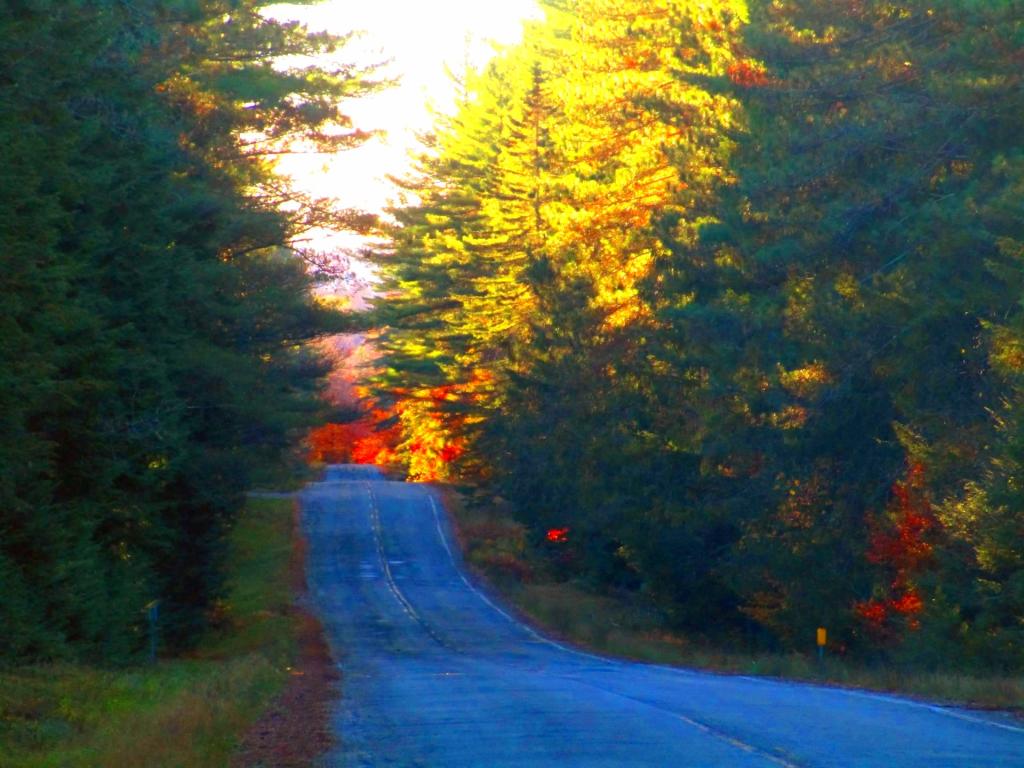 Photo: Walking along NY 421