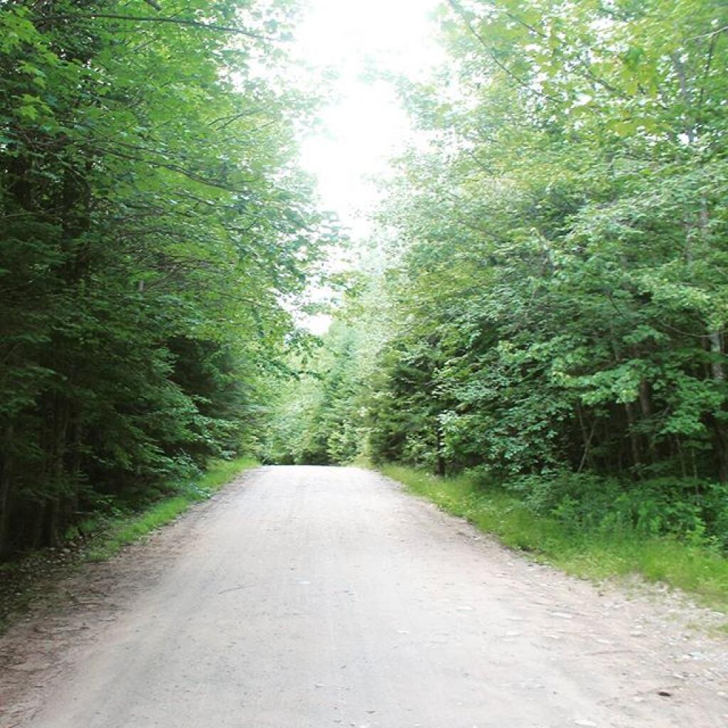 Photo: Cedar River Limekiln Lake Road Photo: Cedar River Limekiln Lake Road