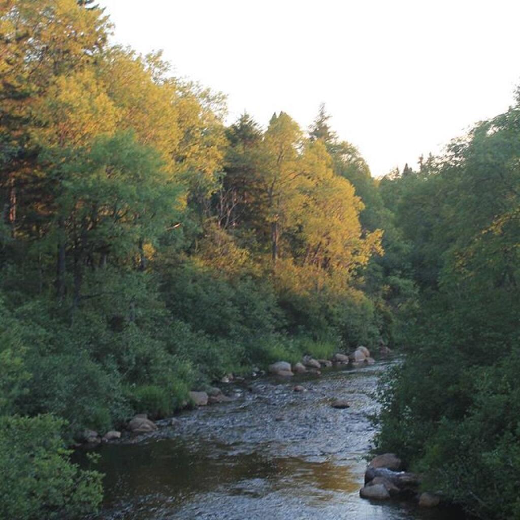 Photo: Moose River