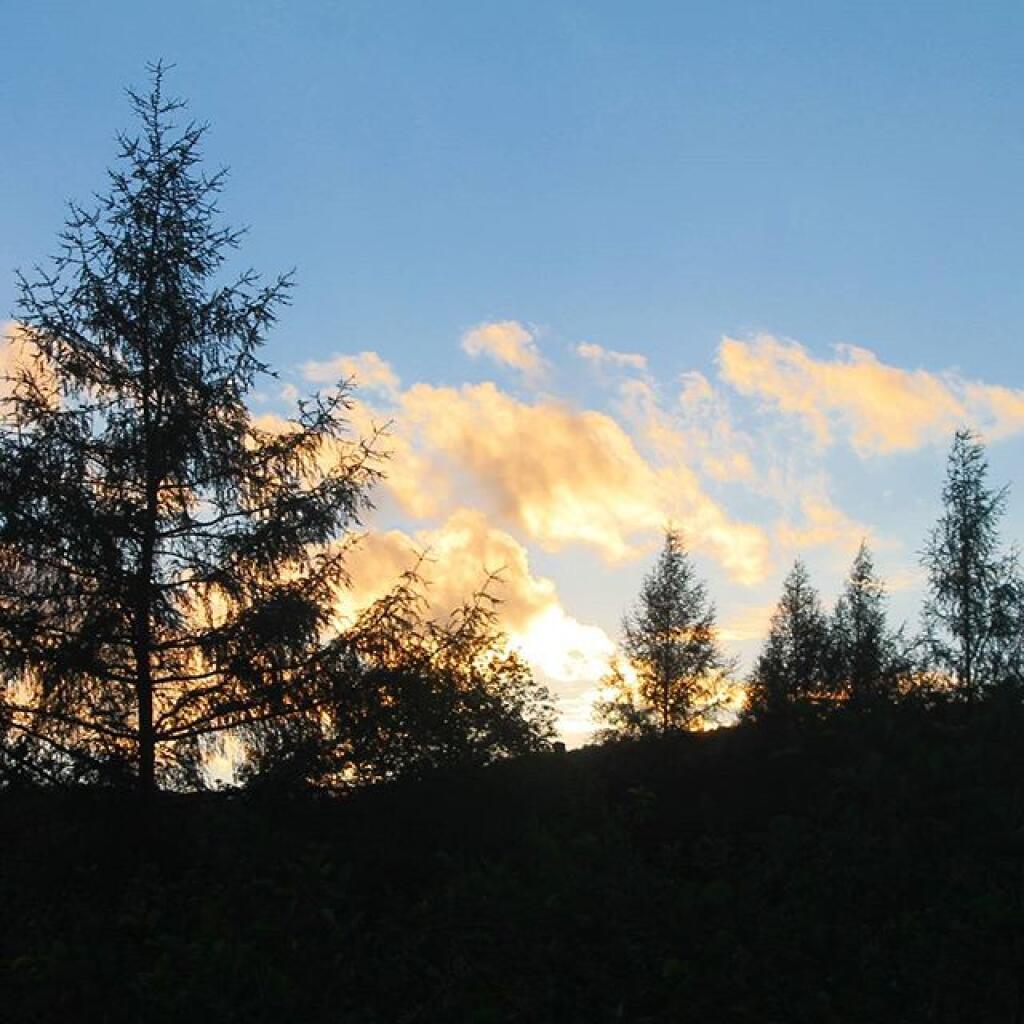 Photo: Sunset