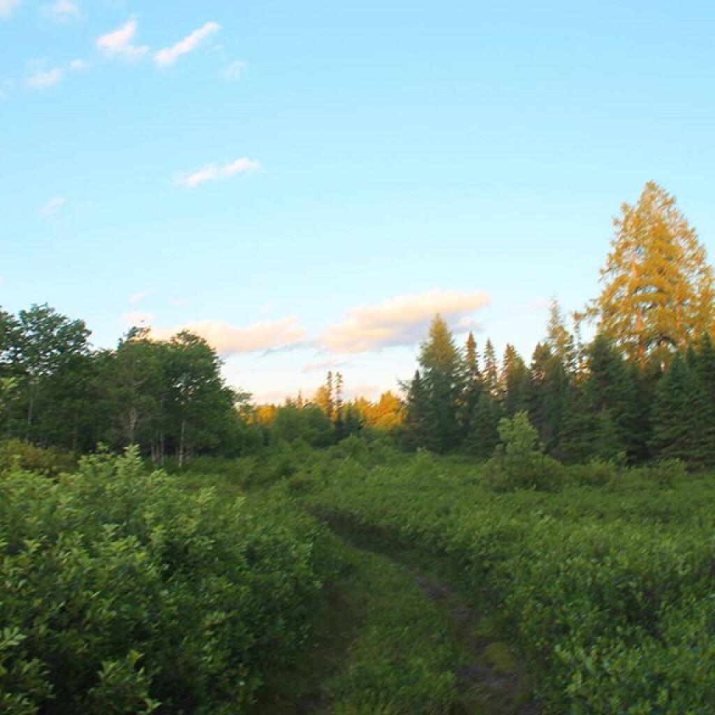 Photo: Near Helldiver Pond