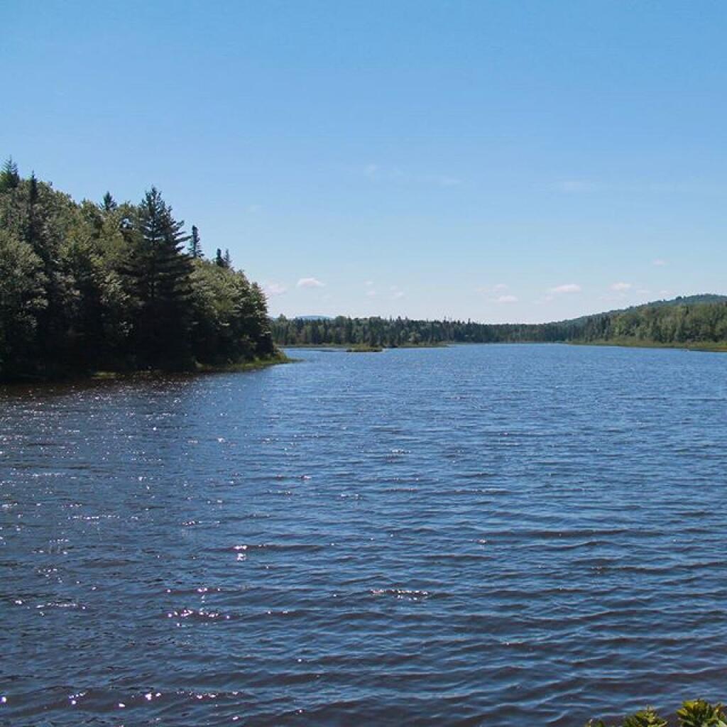 Photo: Perfect day on Cedar River Flow