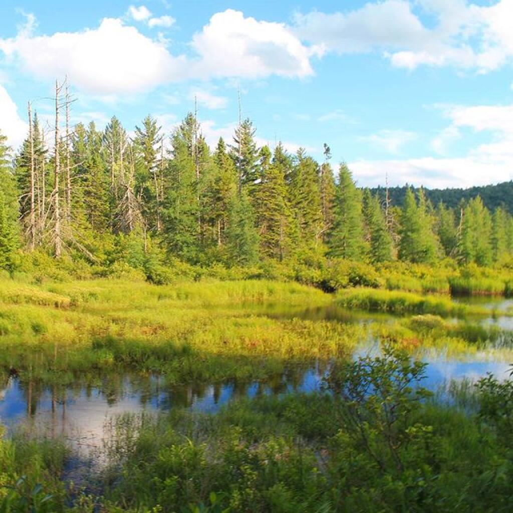 Photo: Red River Photo: Red River