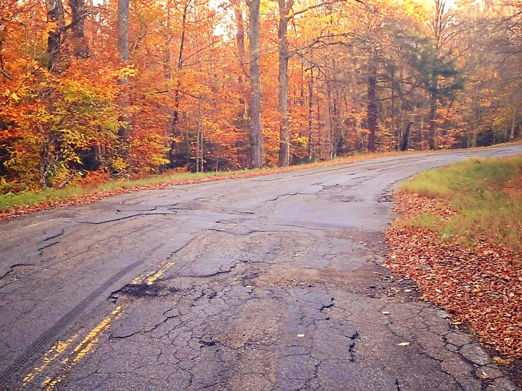 Photo: Rough road