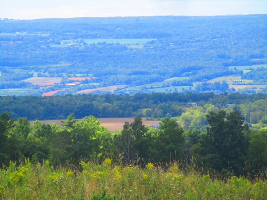 Photo: Into the valley