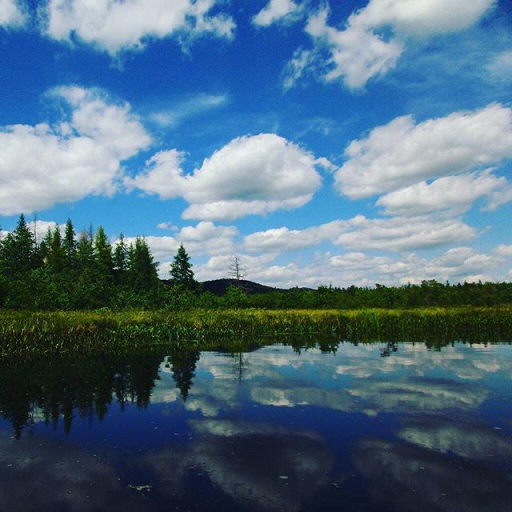 Photo: Reflections