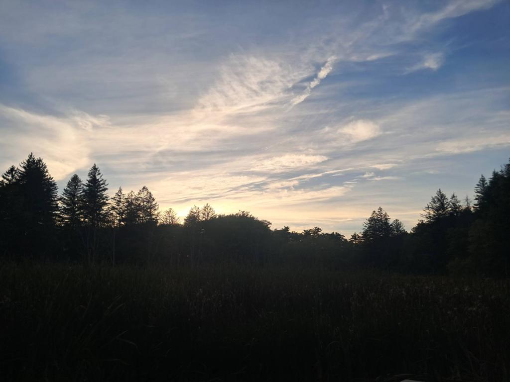 Photo: Evening [Expires October 11 2026]