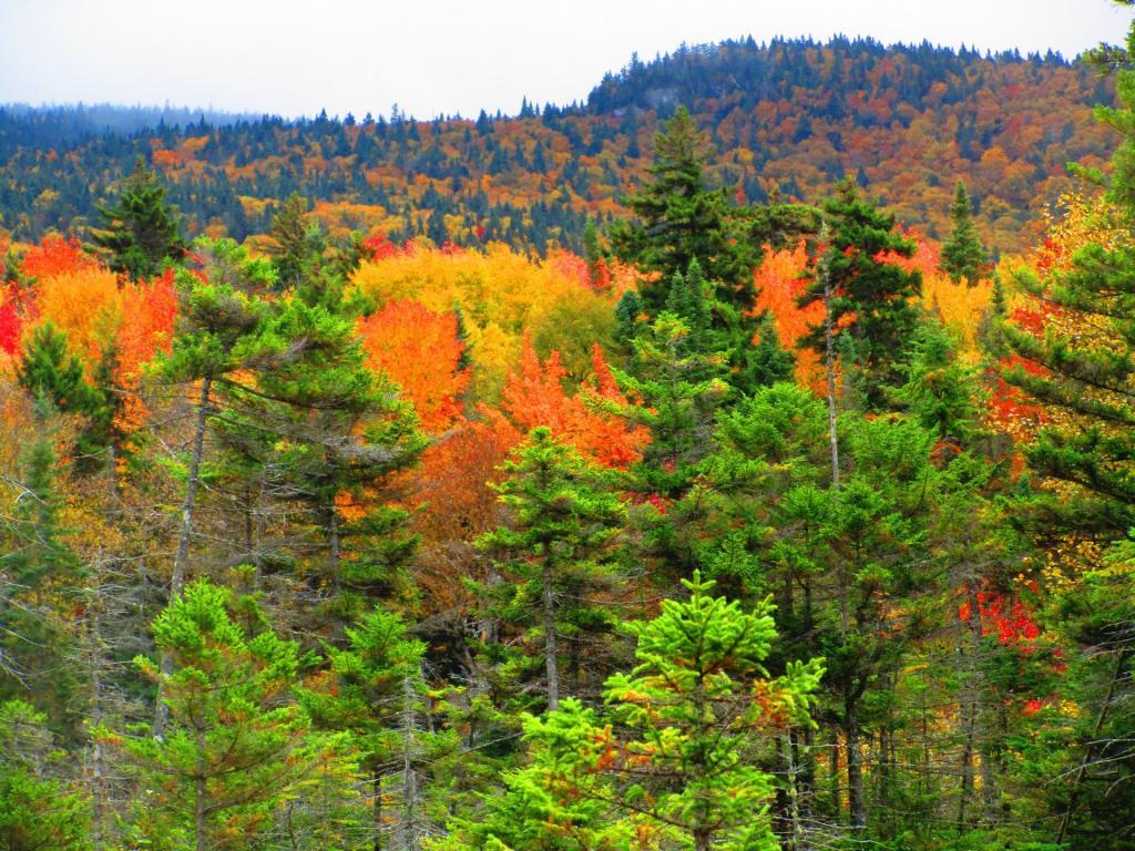 Photo: Pillsbury Mountain Photo: Pillsbury Mountain