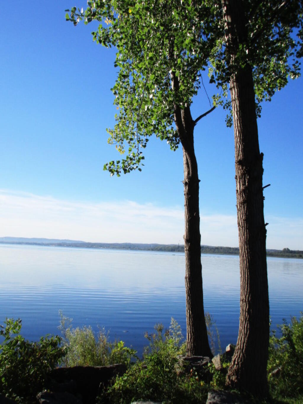 Photo: Placid