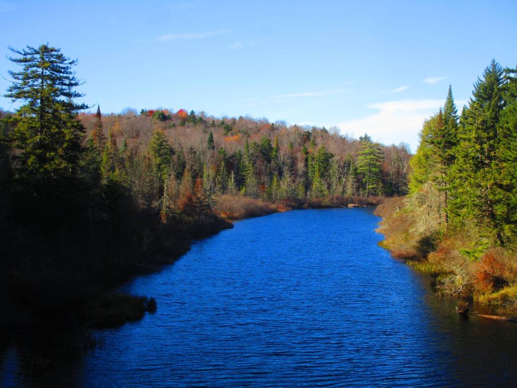 Photo: Round Lake Outlet from the Goodman Bridge