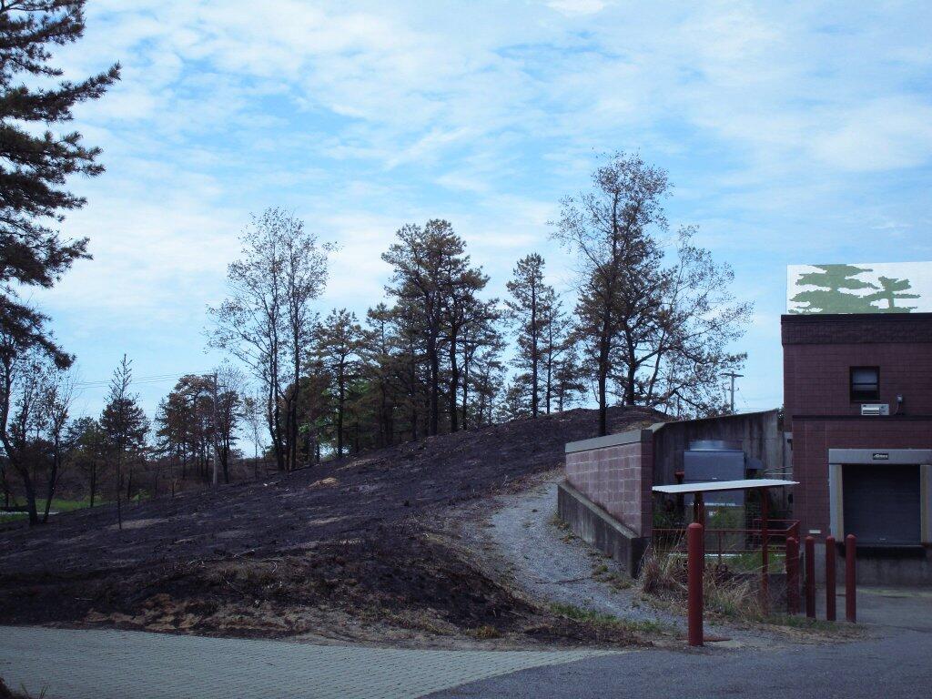 Photo: Controlled Burn Right Up To The Discovery Center Photo: Controlled Burn Right Up To The Discovery Center