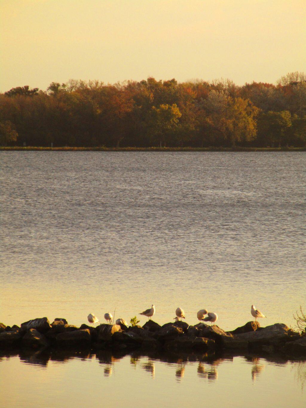 Photo: Shoreline