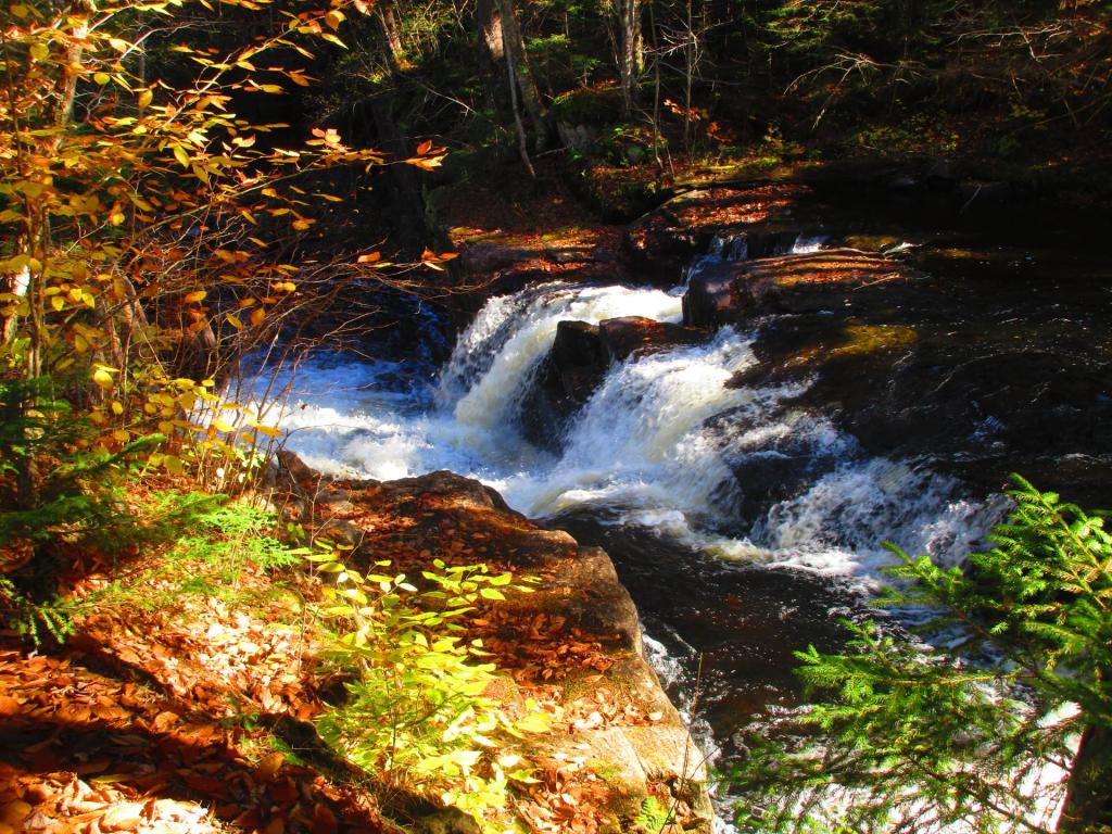 Photo: Swinging Falls