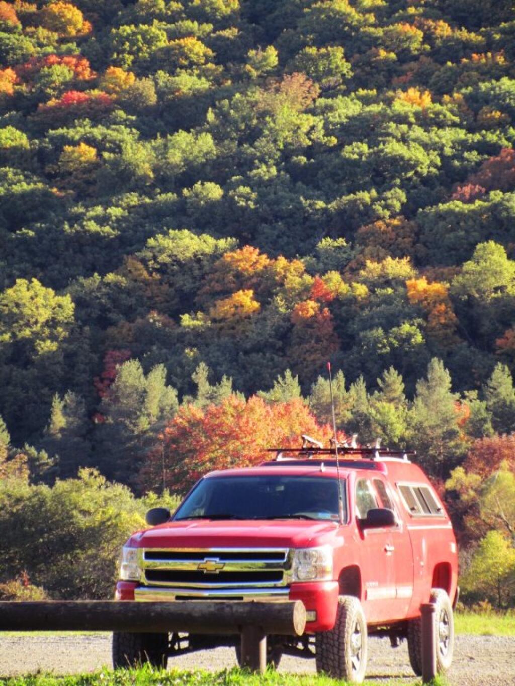Photo: Big Red