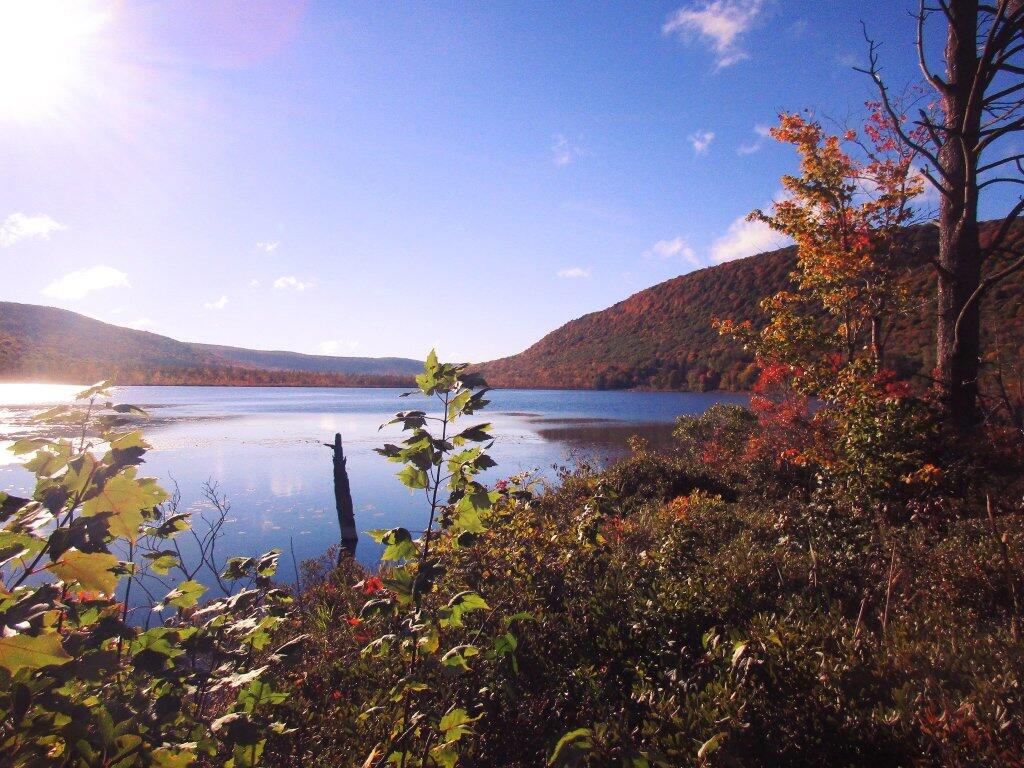 Photo: Nice Day At Labrador Pond Photo: Nice Day At Labrador Pond