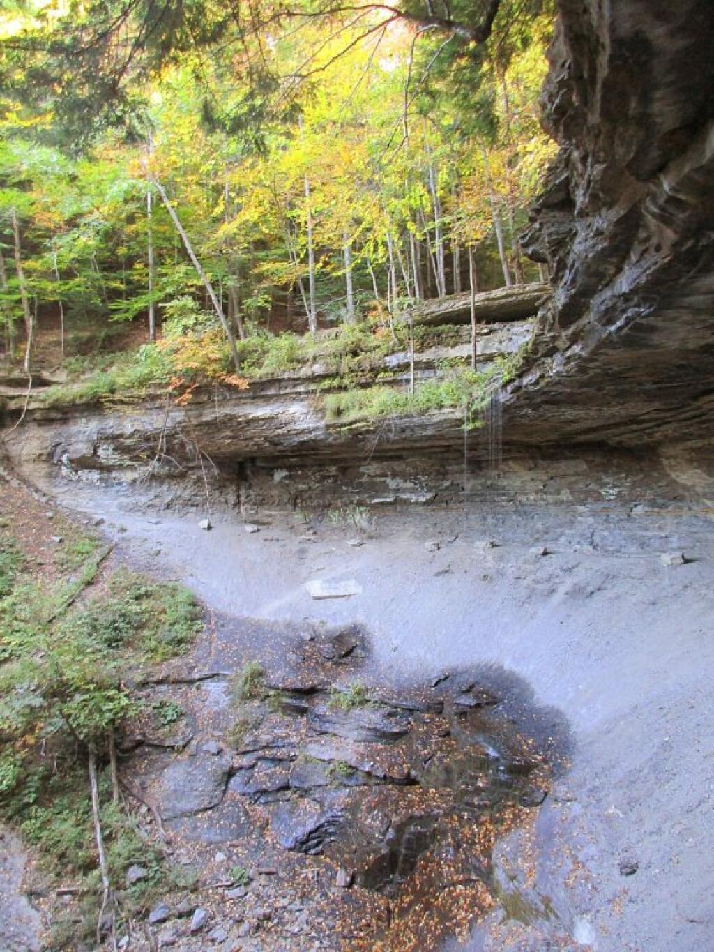 Photo: Tinker Falls Photo: Tinker Falls