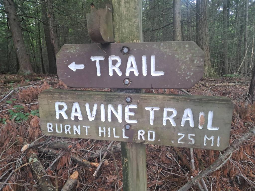 Photo: ⬅️ Trail