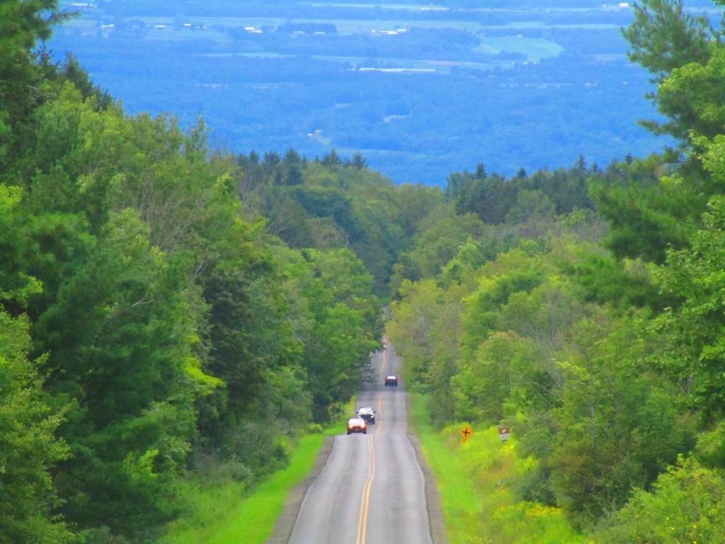 Photo: Picnic Area Road