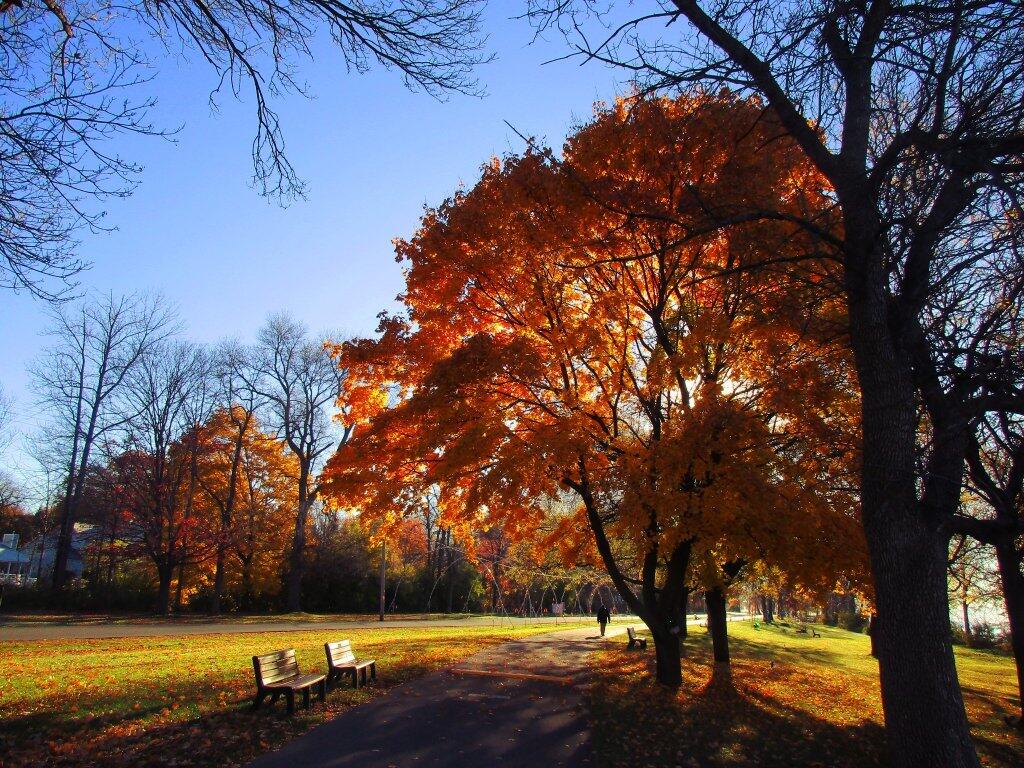 Photo: Golden