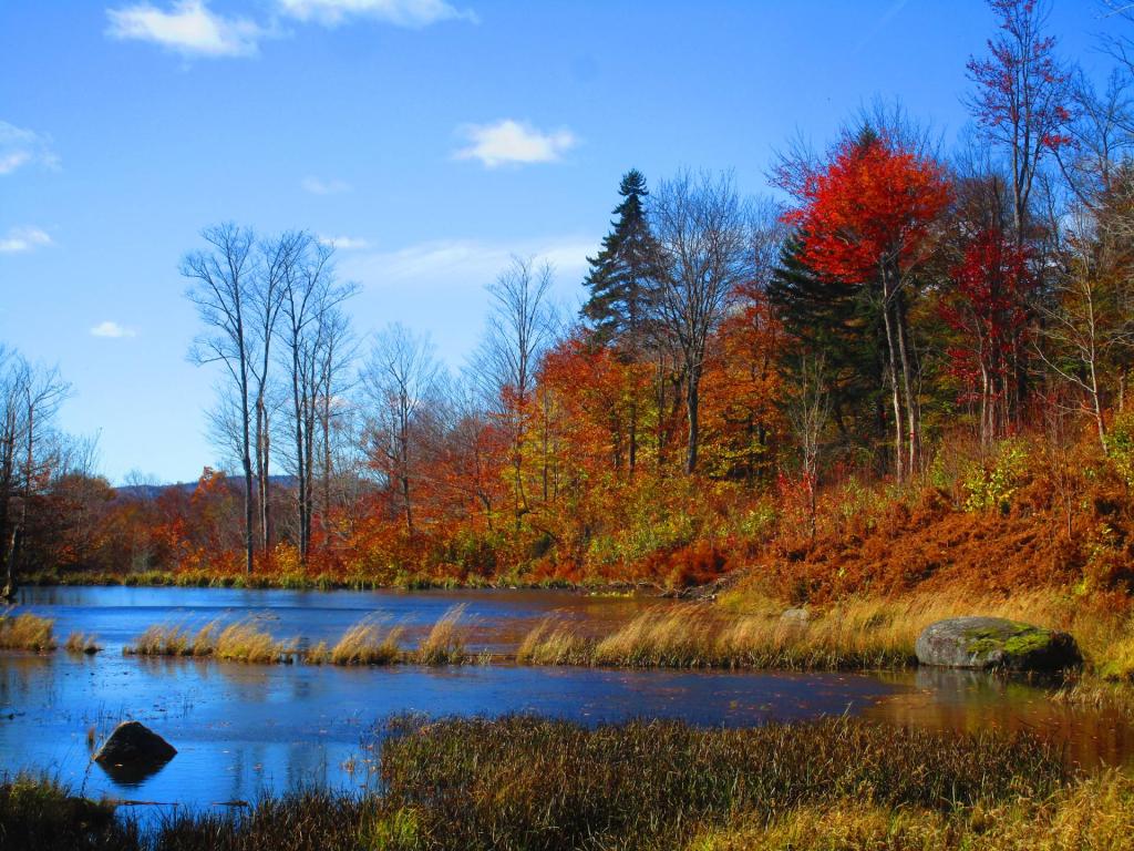 Photo: Beaver Pond on the Winding Falls Trail Photo: Beaver Pond on the Winding Falls Trail